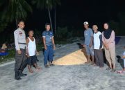 Pastikan Distribusi Pangan Lancar, Personel Polsek Ampana Kota Tinjau Lokasi Panen Jagung