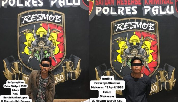 Hari Pertama Bertugas, Kapolresta Palu Apresiasi Penangkapan Jaringan Pencuri Lintas Lokasi