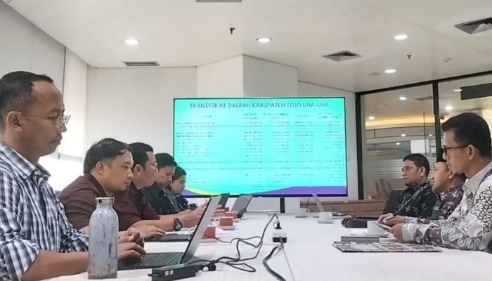 Bupati Ilham Lawidu Lakukan Audensi Dengan Wakil Ketua Banggar DPR dan DJPK Kemenkeu RI