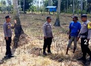 Kapolsek Ampana Kota Pimpin Langsung Pengecekan 2 Hektar Lahan Jagung di Sansarino