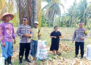 Cek Hasil Tanam Kuartal IV, Polsek Ampana Kota Pastikan Program Kemandirian Pangan Berjalan Maksimal