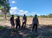 Pastikan Lahan Siap Tanam, Polres Touna Kawal Ketahanan Pangan di Desa Mantangisi dan Sabulira Toba