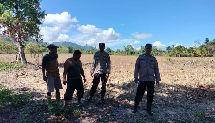 Pastikan Lahan Siap Tanam, Polres Touna Kawal Ketahanan Pangan di Desa Mantangisi dan Sabulira Toba