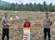Kapolsek Ampana Kota Dukung Petani Jagung Desa Padang Tumbuo