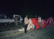 Dukung Program Pemerintah, AKP Maryanto Pastikan Penyerapan Jagung Ampana Kota Berjalan Mulus