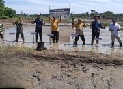 Pemkab Touna Gelar Gerakan Tanam Padi Serentak di Lokasi Cetak Sawah Rakyat Desa Lemoro