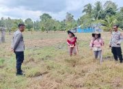 Dukung Ketahanan Pangan, Kapolsek Ampana Kota Tinjau Langsung Lahan Jagung di Desa Patingko