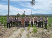 Kabag SDM Polres Touna Pantau Langsung Perkembangan Lahan Jagung Binaan di Ratolindo
