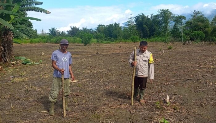 Dukung Ketahanan Pangan Nasional, Polsek Ampana Tete Tanam Jagung di Desa Bulan Jaya