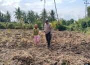 Wujudkan Ketahanan Pangan, Polres Tojo Una-Una Kawal Petani Jagung dari Tanam hingga Panen