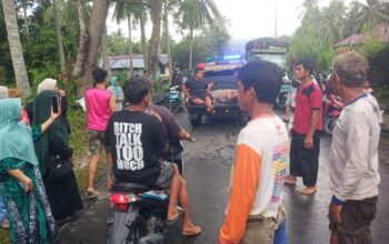 Pengendara Motor Tewas Tertimpa Pohon di Jalan Trans Sulawesi Desa Tete A