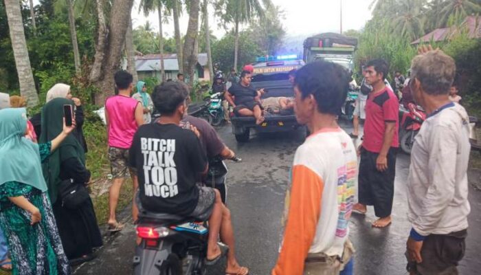 Pengendara Motor Tewas Tertimpa Pohon di Jalan Trans Sulawesi Desa Tete A