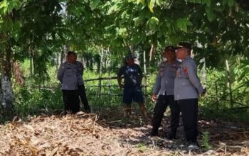 Jelang Panen Serentak, Kabag SDM Polres Touna Pantau Lahan Jagung di Desa Sumoli