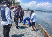 Sinergi Aparat dan Instansi Terkait Lepas Liarkan Penyu Lekang di Perairan Labuan