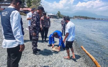 Sinergi Aparat dan Instansi Terkait Lepas Liarkan Penyu Lekang di Perairan Labuan