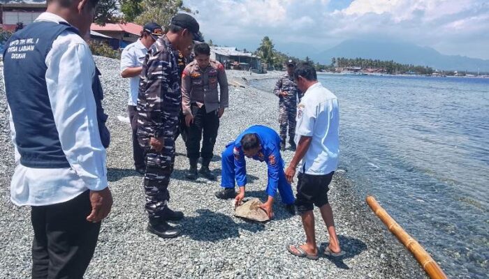 Sinergi Aparat dan Instansi Terkait Lepas Liarkan Penyu Lekang di Perairan Labuan