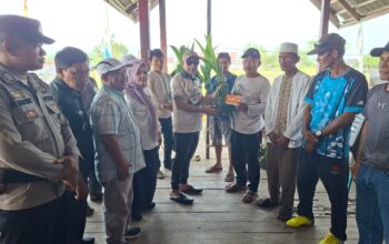 Dukung Sektor Perkebunan, Bupati Ilham Lawidu Salurkan Bantuan Bibit Kelapa Dalam di Una Una