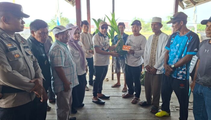 Dukung Sektor Perkebunan, Bupati Ilham Lawidu Salurkan Bantuan Bibit Kelapa Dalam di Una Una