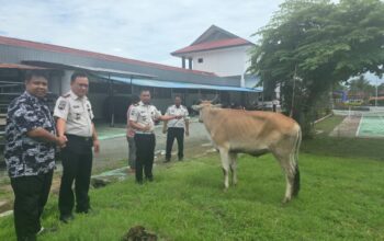 Lapas Ampana Terima Bantuan Hewan Qurban dari Wakil Ketua MPR RI, Wujud Kepedulian dan Penguatan Pembinaan Warga Binaan