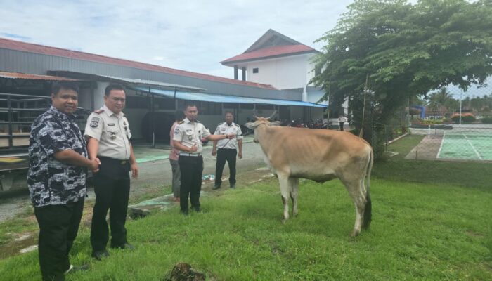 Lapas Ampana Terima Bantuan Hewan Qurban dari Wakil Ketua MPR RI, Wujud Kepedulian dan Penguatan Pembinaan Warga Binaan