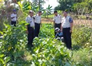 Wujudkan Pembinaan Mandiri dan Produktif Warga Binaan, Kalapas Ampana Tinjau Program Ketahanan Pangan