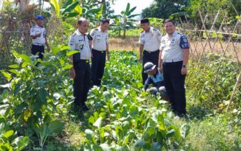 Wujudkan Pembinaan Mandiri dan Produktif Warga Binaan, Kalapas Ampana Tinjau Program Ketahanan Pangan