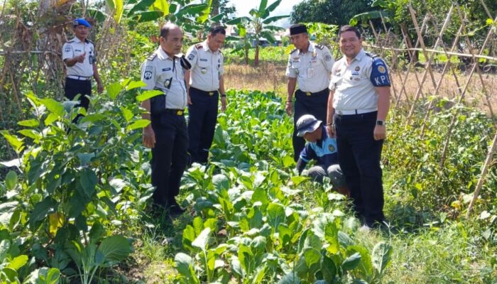 Wujudkan Pembinaan Mandiri dan Produktif Warga Binaan, Kalapas Ampana Tinjau Program Ketahanan Pangan