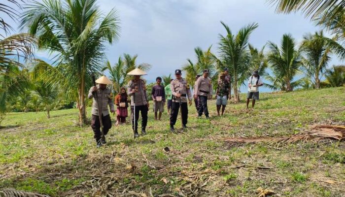 Polsek Jajaran Polres Touna Turun Langsung ke Lahan Jagung Milik Warga