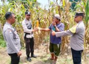 Polres Touna Intensifkan Pengecekan Lahan Jagung di Berbagai Wilayah