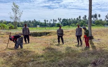 Kapolsek Ampana Kota Cek Lahan Jagung, Ajak Warga Dukung Program Ketahanan Pangan