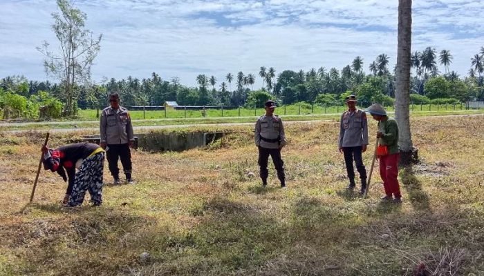 Kapolsek Ampana Kota Cek Lahan Jagung, Ajak Warga Dukung Program Ketahanan Pangan