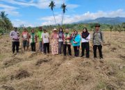 Dukung Ketahanan Pangan, Bhabinkamtibmas Desa Mantangisi Tanam Jagung di Lahan Warga