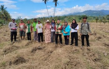 Dukung Ketahanan Pangan, Bhabinkamtibmas Desa Mantangisi Tanam Jagung di Lahan Warga