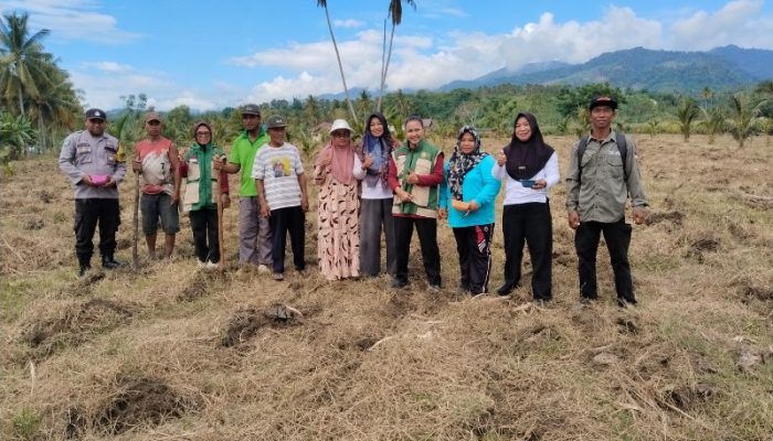 Dukung Ketahanan Pangan, Bhabinkamtibmas Desa Mantangisi Tanam Jagung di Lahan Warga