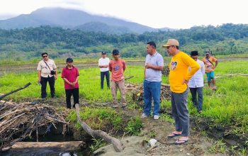 Perkuat Infrastruktur Pertanian, Bupati Ilham Lawidu Tinjau Lokasi Perencanaan Pembangunan Irigasi dan Normalisasi Sungai di Desa Mpoa