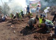 Gerakan Tanam Serentak Komoditas Perkebunan Digelar di Touna, Perkuat Sektor Perkebunan dari Hulu hingga Hilir