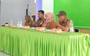 Pantau Langsung Pemutakhiran DTSEN di Ampana Kota, Ini Pesan Wabup Surya