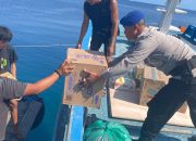 Polisi Penolong Satpolairud Polres Touna Bantu Aktivitas Warga di Pelabuhan Uesampole