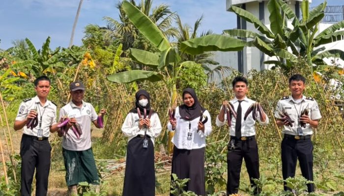 Produktif Dari Balik Jeruji, WBP Lapas Ampana Panen 17 kg Terong
