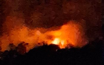 Kapolsek AKP Hartono Ungkap Kebakaran Gunung Batu Pongke