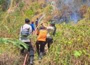 Api Karhutla Gunung Tampanombo Touna Padam, Polisi Lakukan Monitoring