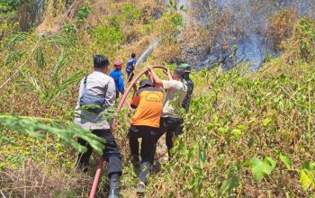 Api Karhutla Gunung Tampanombo Touna Padam, Polisi Lakukan Monitoring