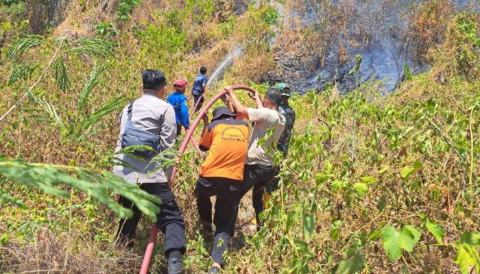 Api Karhutla Gunung Tampanombo Touna Padam, Polisi Lakukan Monitoring