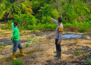 Kapolsek Ampana Tete Ungkap Kondisi Terkini Kebakaran Hutan di Desa Longge