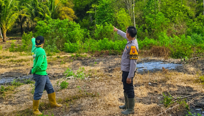 Kapolsek Ampana Tete Ungkap Kondisi Terkini Kebakaran Hutan di Desa Longge