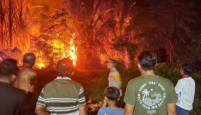 Api Berkobar di Belakang Mebel, Polres Touna dan Damkar Bergerak Cepat