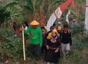 Jelang Festival Budaya Bakulupi 2026, Wabup Surya Turun Langsung Ambil Daun Yeki
