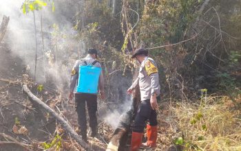 Kapolsek Ulubongka Ungkap Kendala Pemadaman Karhutla di Tampanombo
