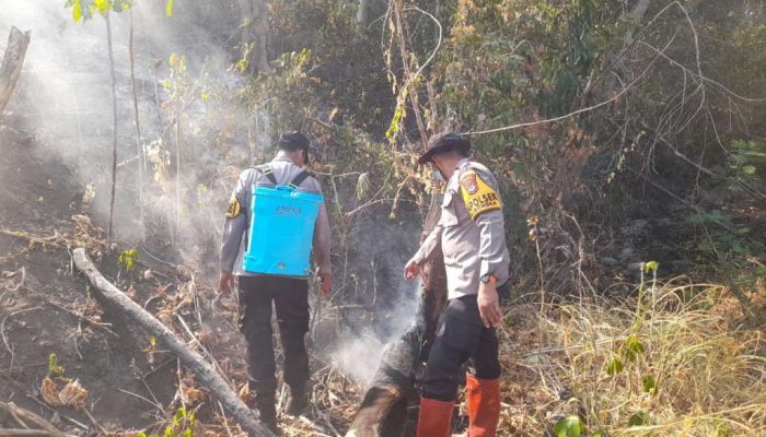 Kapolsek Ulubongka Ungkap Kendala Pemadaman Karhutla di Tampanombo
