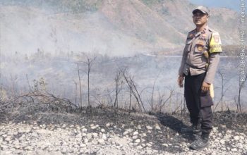 Kapolsek Ampana Tete Ungkap Penanganan Kebakaran Gunung Kalendeng Terkendala Medan Terjal
